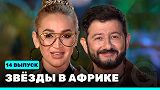 Звезды в Африке - выпуск 14