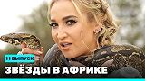 Звезды в Африке - выпуск 11