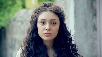 Ojaxi erge - seria 29