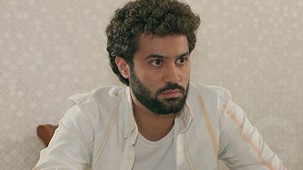 Tsaghikner dzyan tak - seria 165