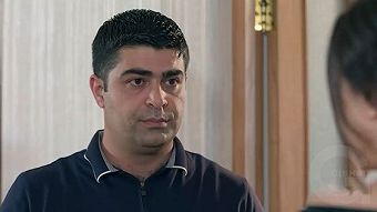 Tsaghikner dzyan tak - seria 86