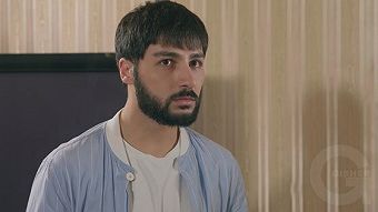 Tsaghikner dzyan tak - seria 173