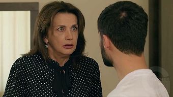 Tsaghikner dzyan tak - seria 138