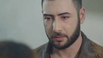 Srtin hakarak - seria 40