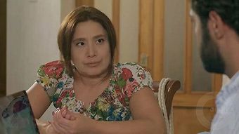 Tsaghikner dzyan tak - seria 159