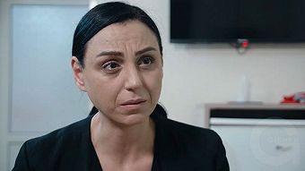 Srtin hakarak - seria 12