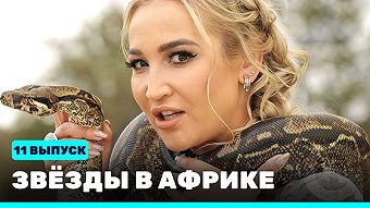 Звезды в Африке - выпуск 11