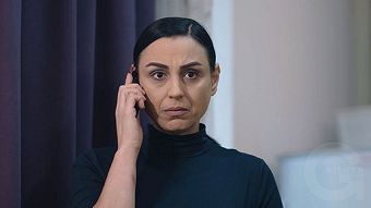 Srtin hakarak - seria 70