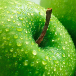 Изображение 134.gif