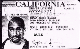 водительские права 2 Pac