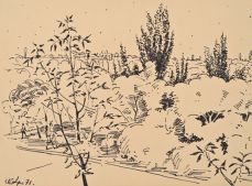 Mayisi Skizbe (1971)