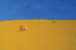 Ես գիտեի, որ պիտի գամ այստեղ.jpg