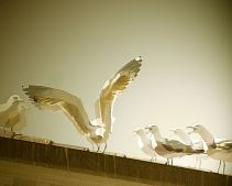 picture with 8 birds