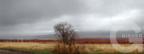 Armenian panorama - 3