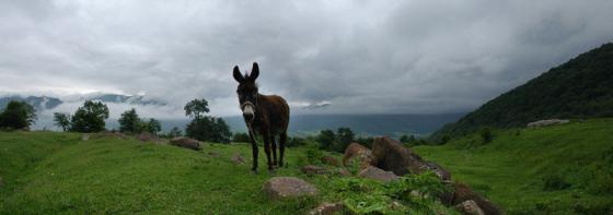 Armenian panorama - 8