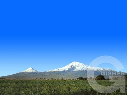 Ararat