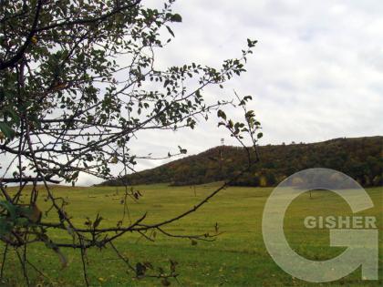 Лорийский марз