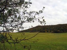 Лорийский марз