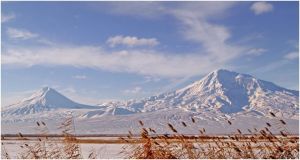 Сисн у Масисы!