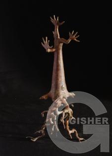 Baghdasaryan Karen - 20