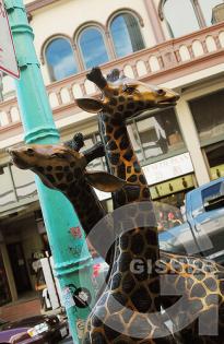 it takes two to tangle