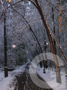 Дорога в никуда