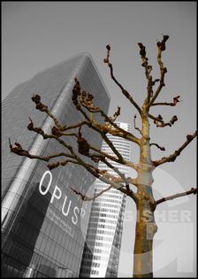 Forms and Landscapes - 10