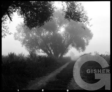 Forms and Landscapes - 2