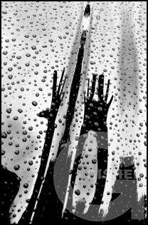 Forms and Landscapes - 3