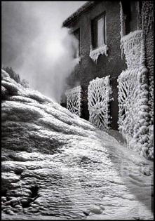 Forms and Landscapes - 4