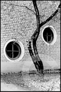 Forms and Landscapes - 5