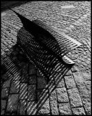 Forms and Landscapes - 6