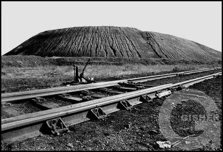 Forms and Landscapes - 8