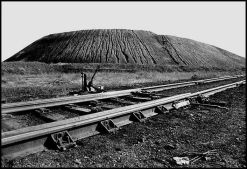 Forms and Landscapes - 8