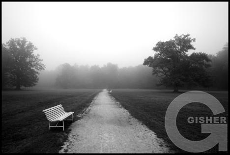 Forms and Landscapes - 9