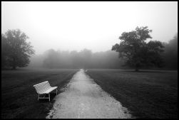 Forms and Landscapes - 9