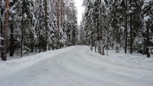 Дорога в холод