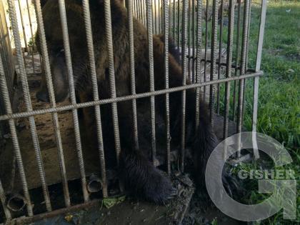 Mer Quchi Mishon )))