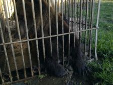 Mer Quchi Mishon )))