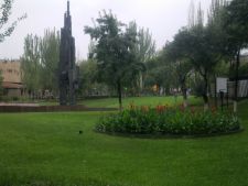 Мрачная и красивая погода  в Ереване )