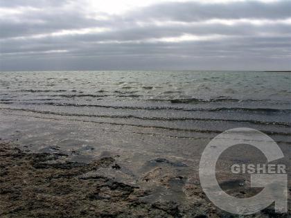 оз.Маныч Гудило.(Ростовская область)