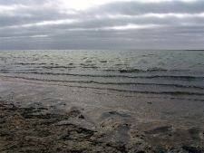 оз.Маныч Гудило.(Ростовская область)