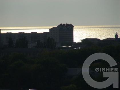 птичий полёт