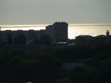 птичий полёт