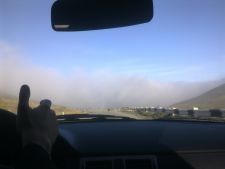 Туман Хочет нас Сесть ))))