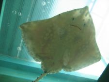 улыбаемся -снято)))))