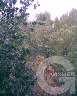 Вид из окна!