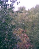 Вид из окна!