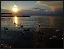 закат закат