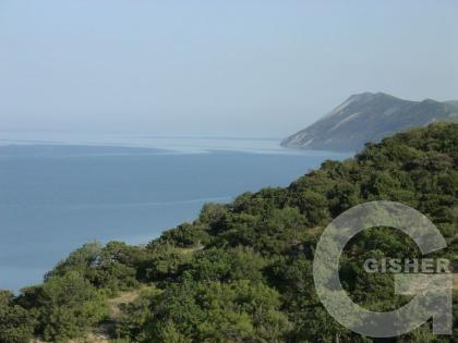 Зеленый берег